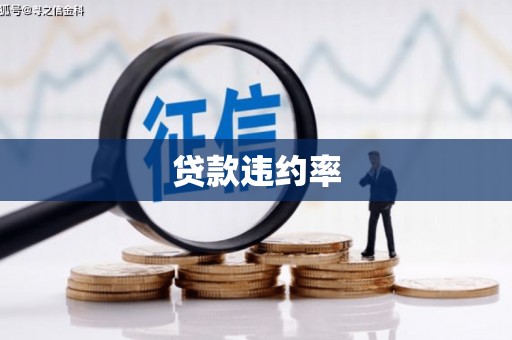 舞阳贷款违约率