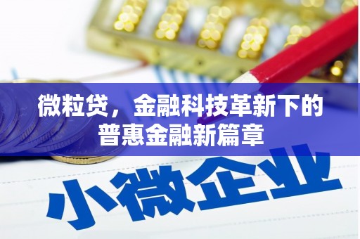 舞阳微粒贷，金融科技革新下的普惠金融新篇章