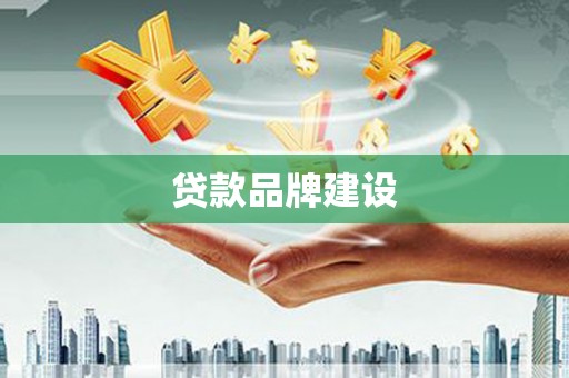 舞阳贷款品牌建设