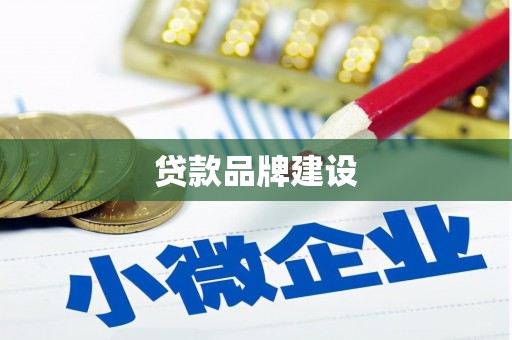 舞阳贷款品牌建设