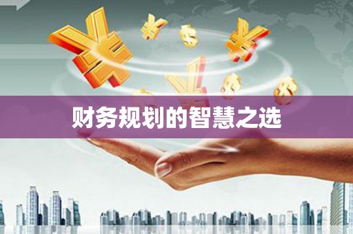 舞阳财务规划的智慧之选