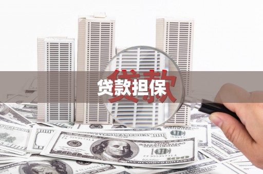 舞阳贷款担保