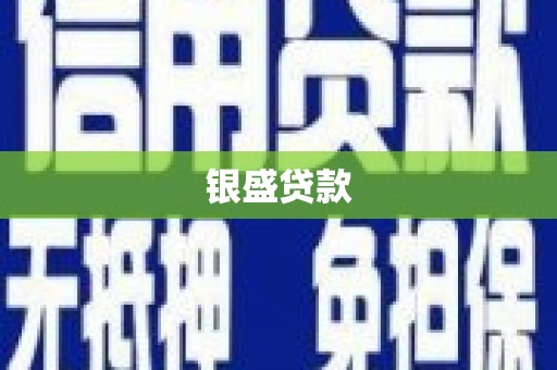 舞阳银盛贷款