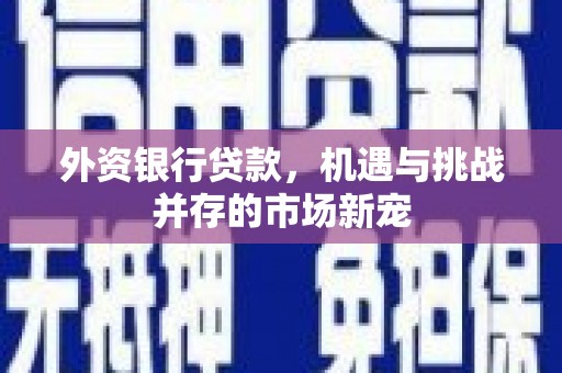 舞阳外资银行贷款，机遇与挑战并存的市场新宠