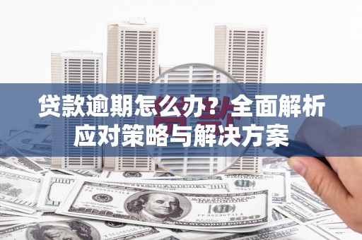 舞阳贷款逾期怎么办？全面解析应对策略与解决方案