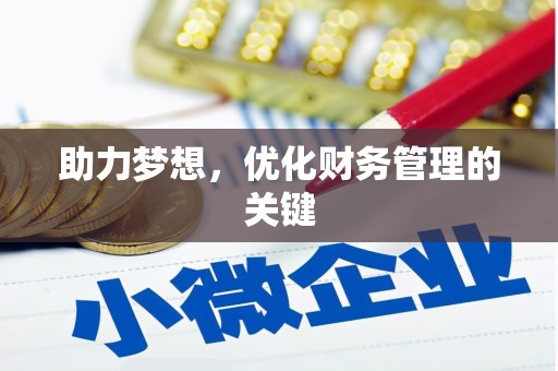 舞阳助力梦想，优化财务管理的关键