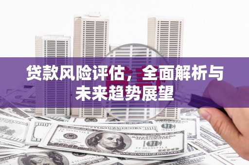 舞阳贷款风险评估，全面解析与未来趋势展望