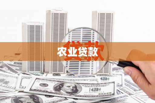 舞阳农业贷款
