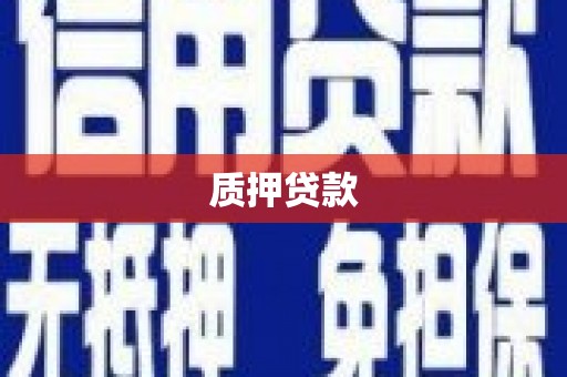 舞阳质押贷款