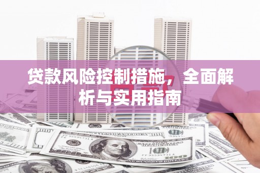 舞阳贷款风险控制措施，全面解析与实用指南