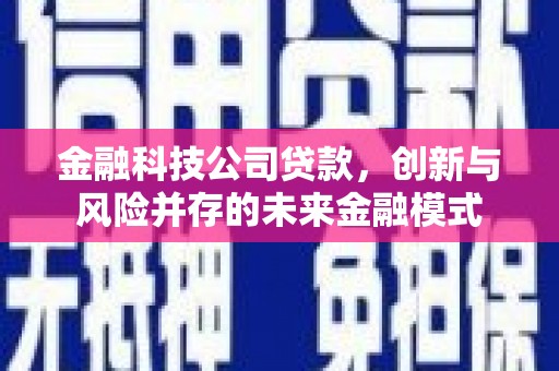 舞阳金融科技公司贷款，创新与风险并存的未来金融模式