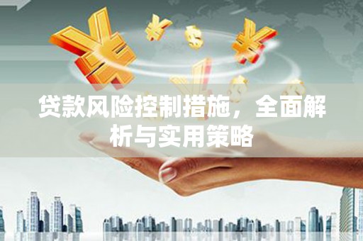 舞阳贷款风险控制措施，全面解析与实用策略