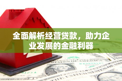 舞阳全面解析经营贷款，助力企业发展的金融利器