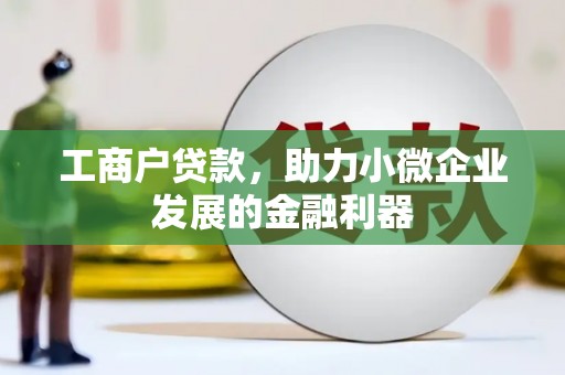 舞阳工商户贷款，助力小微企业发展的金融利器
