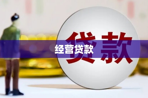 舞阳经营贷款