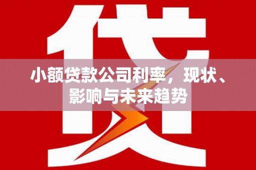 舞阳小额贷款公司利率，现状、影响与未来趋势