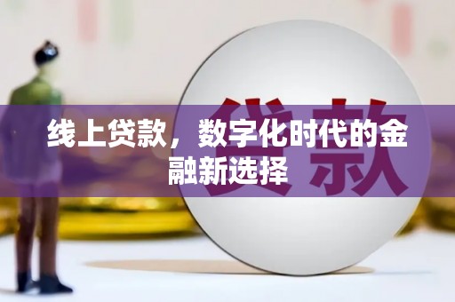 舞阳线上贷款，数字化时代的金融新选择