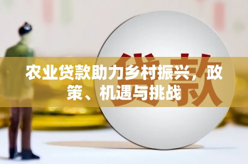 舞阳农业贷款助力乡村振兴，政策、机遇与挑战