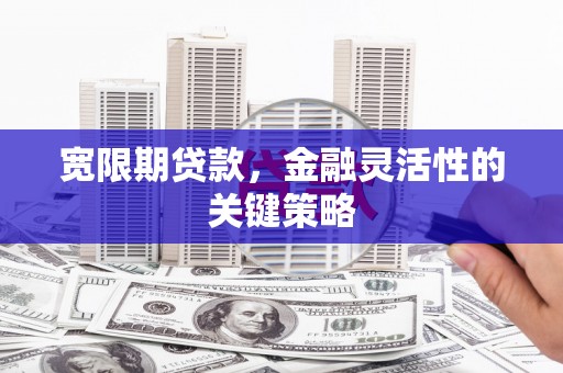 舞阳宽限期贷款，金融灵活性的关键策略