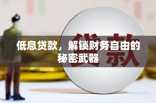 舞阳低息贷款，解锁财务自由的秘密武器