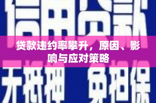 舞阳贷款违约率攀升，原因、影响与应对策略