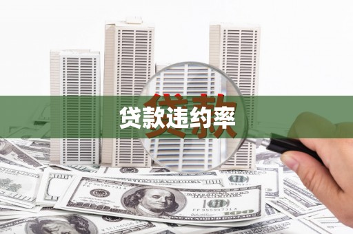 舞阳贷款违约率