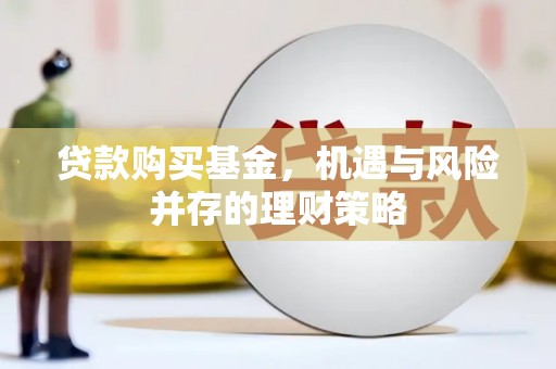 舞阳贷款购买基金，机遇与风险并存的理财策略