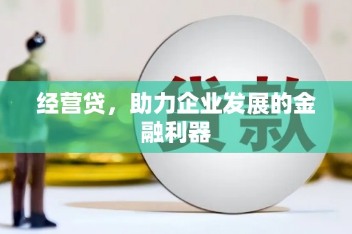舞阳经营贷，助力企业发展的金融利器