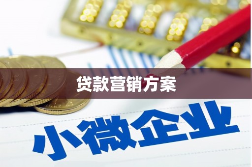 舞阳贷款营销方案