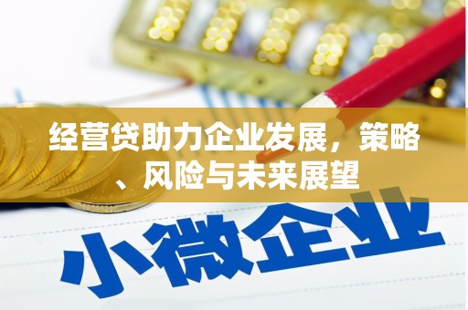 舞阳经营贷助力企业发展，策略、风险与未来展望