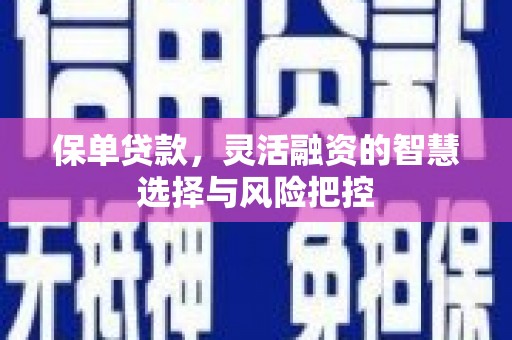 舞阳保单贷款，灵活融资的智慧选择与风险把控
