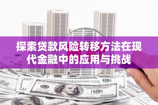 舞阳探索贷款风险转移方法在现代金融中的应用与挑战