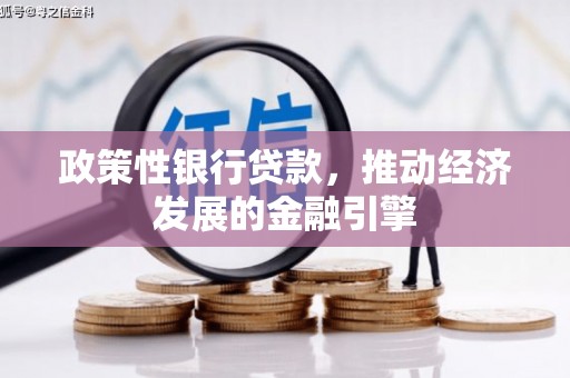 舞阳政策性银行贷款，推动经济发展的金融引擎