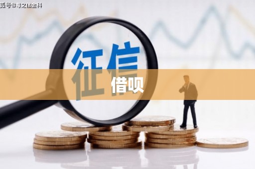 舞阳借呗