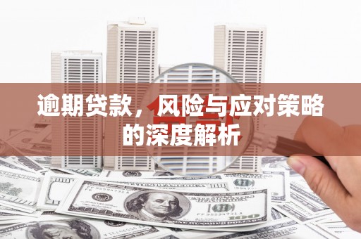 舞阳逾期贷款，风险与应对策略的深度解析
