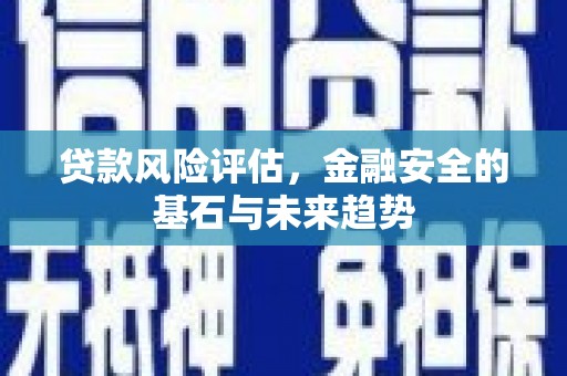 舞阳贷款风险评估，金融安全的基石与未来趋势