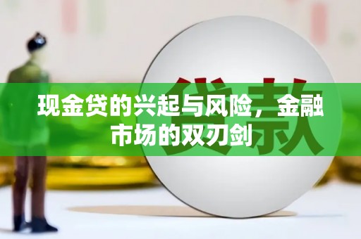 舞阳现金贷的兴起与风险，金融市场的双刃剑