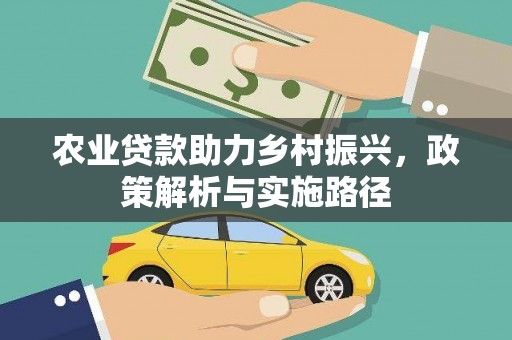 舞阳农业贷款助力乡村振兴，政策解析与实施路径