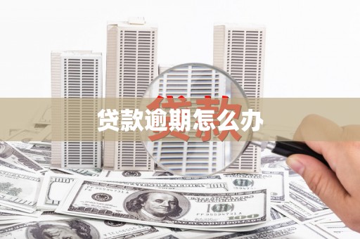 舞阳贷款逾期怎么办