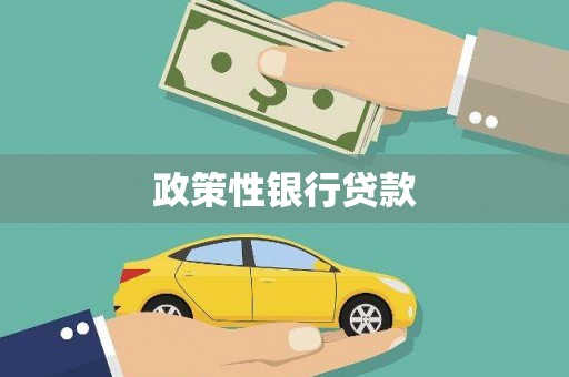 舞阳政策性银行贷款