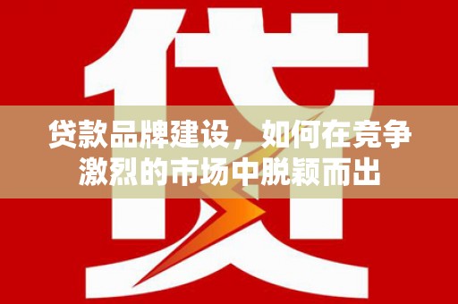 舞阳贷款品牌建设，如何在竞争激烈的市场中脱颖而出