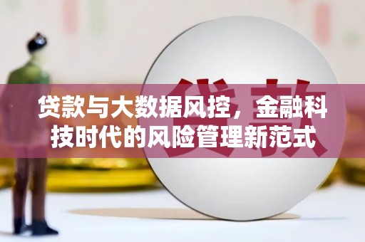 舞阳贷款与大数据风控，金融科技时代的风险管理新范式