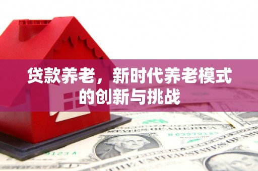 舞阳贷款养老，新时代养老模式的创新与挑战