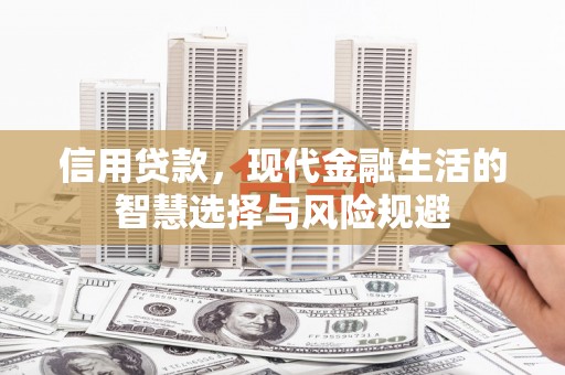 舞阳信用贷款，现代金融生活的智慧选择与风险规避