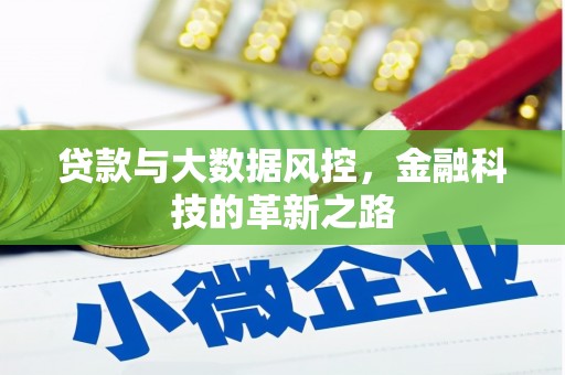 舞阳贷款与大数据风控，金融科技的革新之路