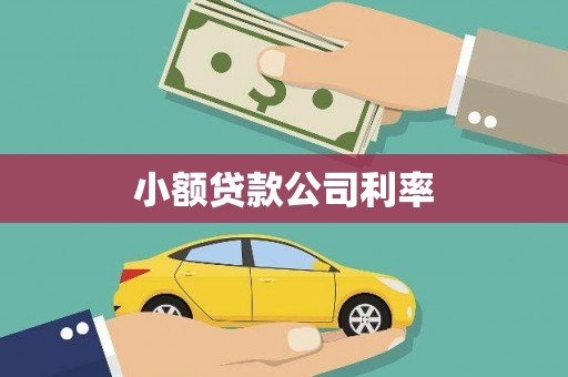 舞阳小额贷款公司利率