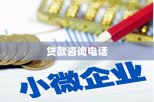 舞阳贷款咨询电话