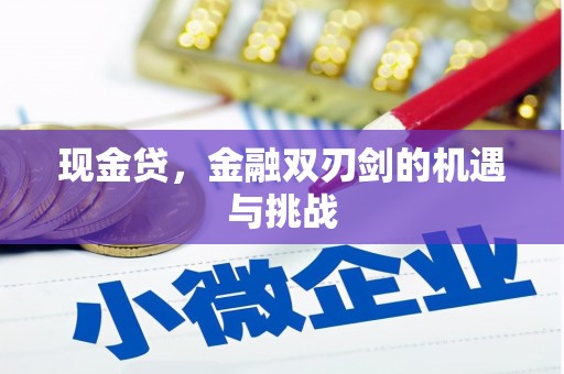 舞阳现金贷，金融双刃剑的机遇与挑战