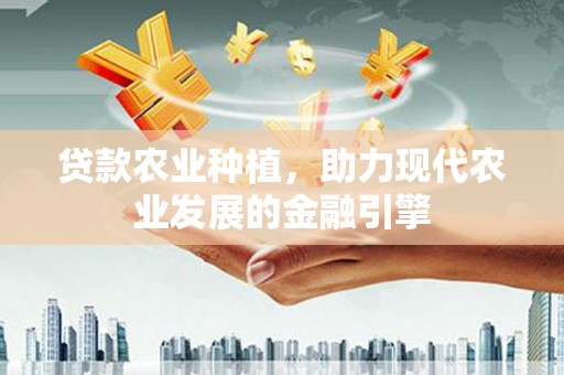 舞阳贷款农业种植，助力现代农业发展的金融引擎