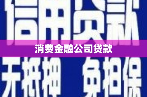 舞阳消费金融公司贷款
